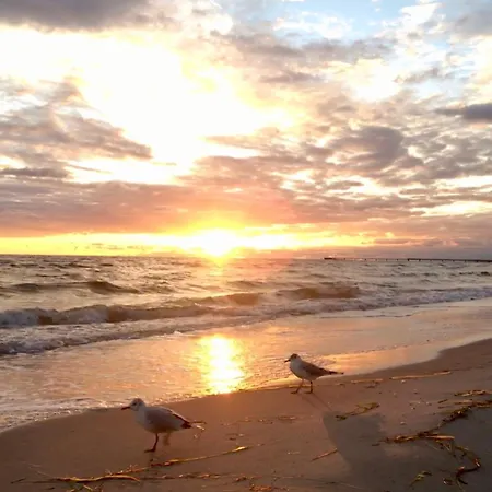 Διαμέρισμα Strandveranda Zingst