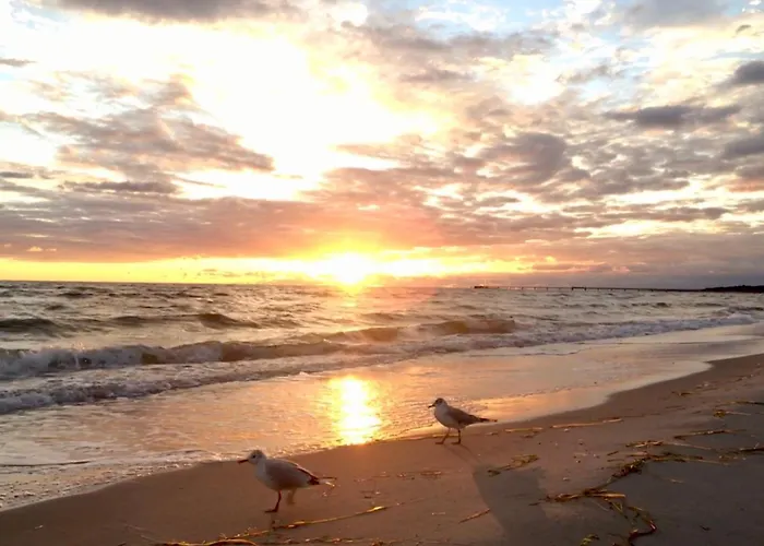 Apartman Strandveranda Zingst